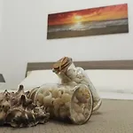 Gæstehus Il Profumo Del Mare